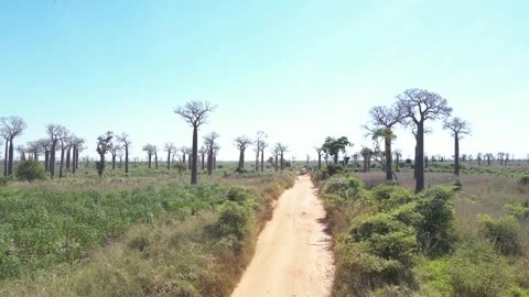 Aerial drone view above the sandy track cutting through the iconic ancient Stock Footage 341568432