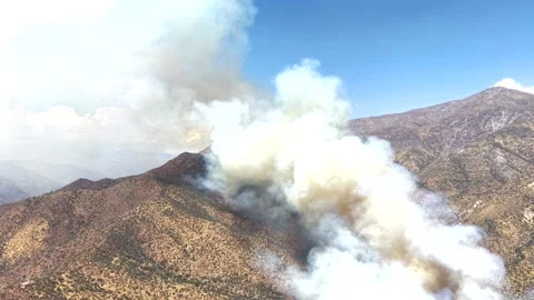 Aerial drone view of an active forest fire spreading through dry vegetation Stock Footage 328156827
