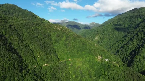 Aerial Drone View of Adjara Mountains, Georgia, Forest and Snow Peak Stock Footage 337354034