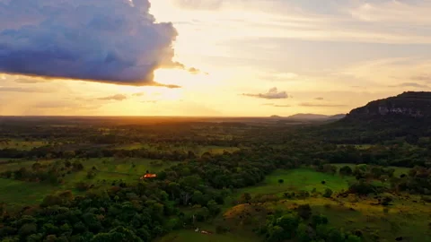 Aerial drone view of the Amazon rainforest in Colombia at sunset, showcasing 스톡 동영상 333813608