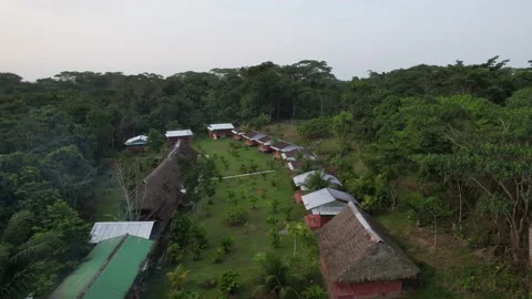 Aerial drone view of the Amazon River and forest and activity Stock Footage 208887530