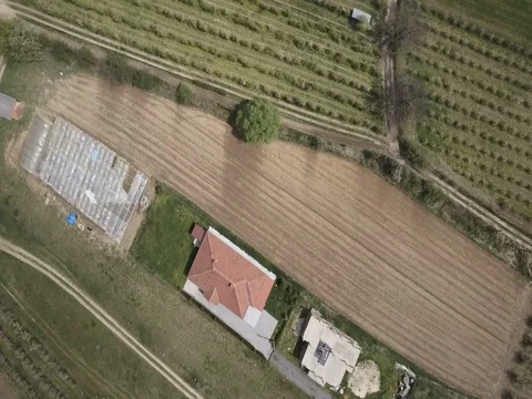 Aerial  drone view of an apple orchard in srping Stock Footage 74955223
