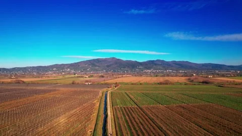 Aerial drone view Apples Trees winter Tuscany Vally field-Italy 4K 스톡 동영상 234131330