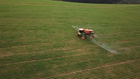 Aerial drone view around a tractor spraying bean field 4k Stock Footage 123014193