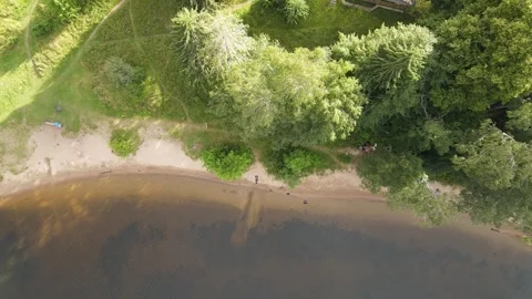 Aerial drone view ascending over a forested lake beach with people Vídeos de archivo 338103380