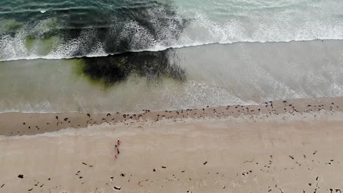 Aerial drone view of Atlantic ocean shore line in Brittany, France Stock Footage 289747879