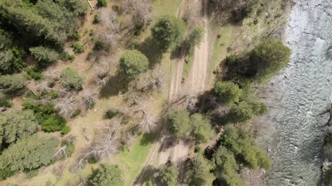Aerial drone view of an ATV driving along a forest path by a mountain river 動画素材 337534114