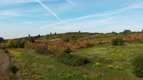 Aerial Drone View of Autumn Forest. Footage Video Stock Footage 133010553