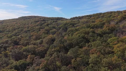 Aerial drone view of autumn forest hills under blue sky Stock Footage 320453545