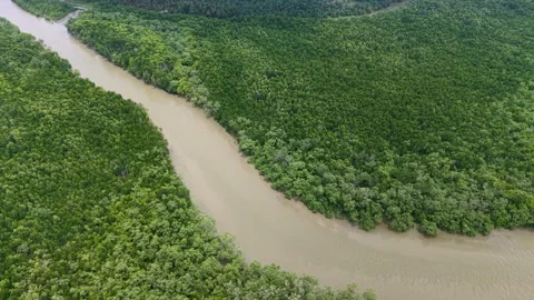 Aerial Drone View of Ayer Baloi Mangrove River Stock-Footage 337719067