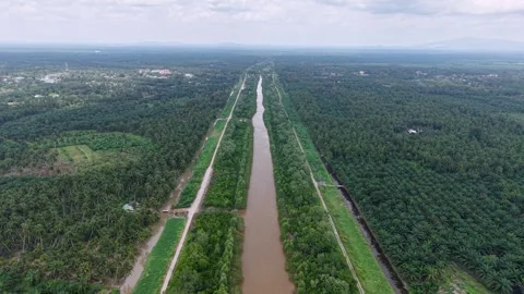 Aerial Drone View of Ayer Baloi Mangrove Canal Stock Footage 337728253