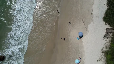 Aerial drone view on the beach going up, beautiful beach Stock Footage 229853688