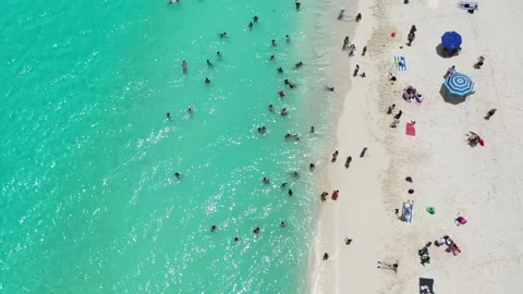Aerial Drone View of Beach Life in Cancun Stock Footage 301148053