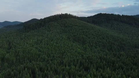 Aerial drone view of beautiful mountains at calm summer evening Stock Footage 339633767