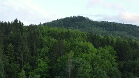 Aerial drone view of beautiful summer mountains peak and green forest Stock Footage 339633877