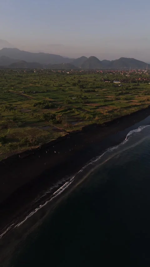 Aerial Drone View of Black Sand Coast and Green Farmland with Mountains, Bali Video stock 337229403