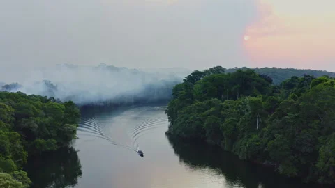 Aerial drone view of a boat navigating an Amazon River surrounded by dense Stock Footage 340276565