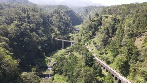 Aerial drone view of a bridge in the middle of forest in Plunyon, Yogyakart.. Stock Footage 251620400