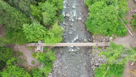 Aerial Drone view of a bridge over a river Stock Footage 312531868