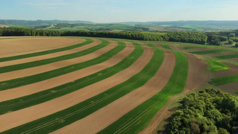 Aerial drone view of broad contour-ploughed farmland with alternating curved Stock-Footage 336616832