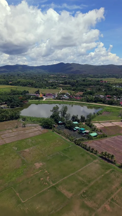 Aerial drone view of a Buddhist monastery next to a green river and rice fields Stock Footage 335866134