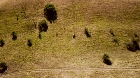 Aerial drone view of buggy climbs on a slope Stock Footage 141064975