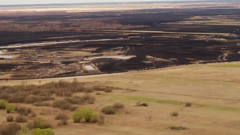 Aerial drone view of burned ground after big fire in Polish National Park Stock Footage 202049580