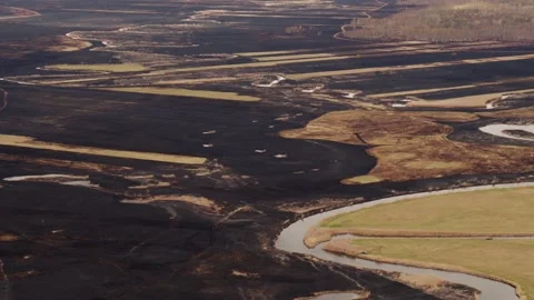 Aerial drone view of burned ground after big fire in Polish National Park Stock Footage 202049623