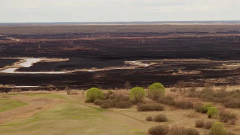 Aerial drone view of burned ground after big fire in Polish National Park Stock Footage 202049626