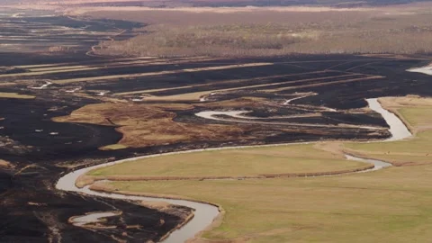 Aerial drone view of burned ground after big fire in Polish National Park Stock Footage 202049650