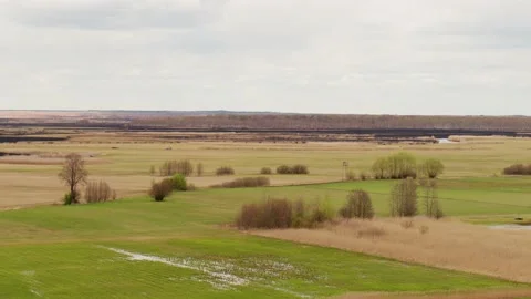 Aerial drone view of burned ground after big fire in Polish National Park Stock Footage 202049680