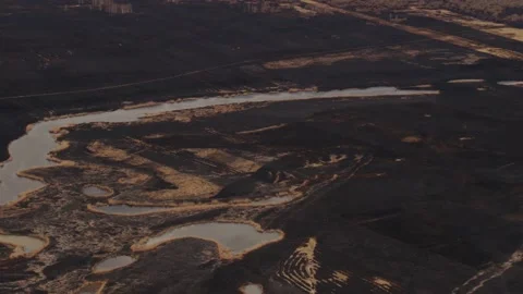 Aerial drone view of burned ground after big fire in Polish National Park Stock Footage 202049687