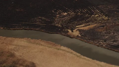 Aerial drone view of burned ground after big fire in Polish National Park Stock Footage 202049688