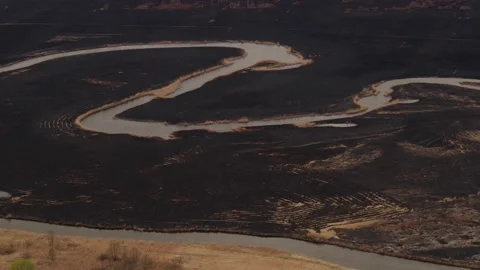 Aerial drone view of burned ground after big fire in Polish National Park Stock Footage 202049712