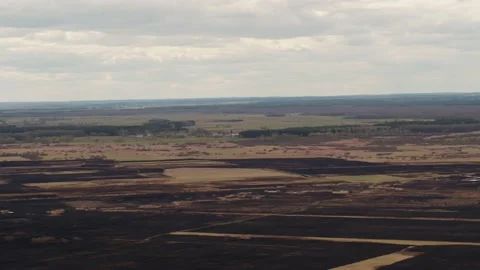 Aerial drone view of burned ground after big fire in Polish National Park Vídeo Stock 202049718