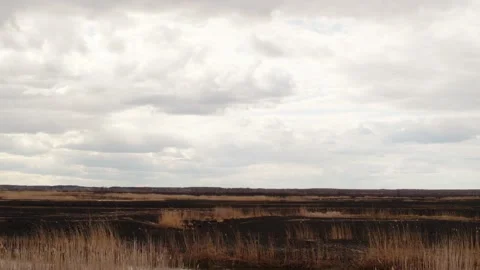 Aerial drone view of burned ground after big fire in Polish National Park Stock Footage 202049760