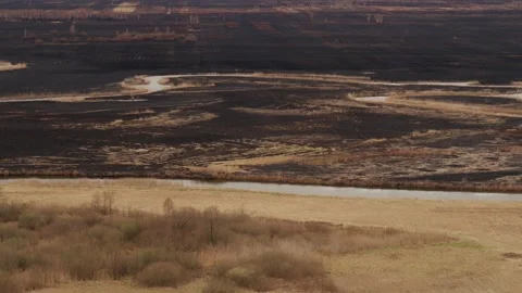 Aerial drone view of burned ground after big fire in Polish National Park Stock Footage 202049777