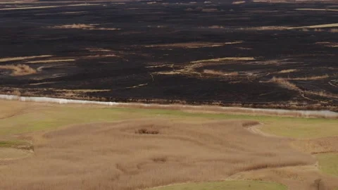 Aerial drone view of burned ground after big fire in Polish National Park Stock Footage 202049799