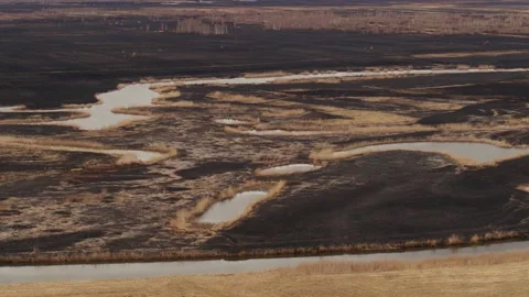 Aerial drone view of burned ground after big fire in Polish National Park Stock Footage 202049815