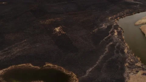 Aerial drone view of burned ground after big fire in Polish National Park Stock Footage 202049820