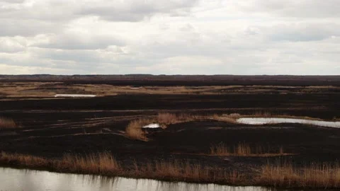 Aerial drone view of burned ground after big fire in Polish National Park Stock Footage 202049839