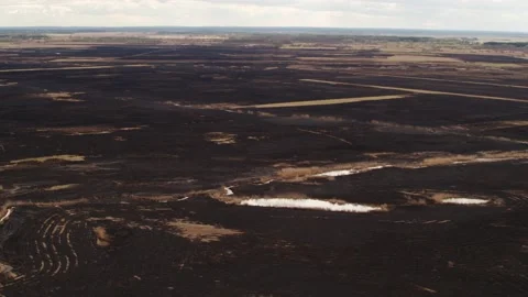 Aerial drone view of burned ground after big fire in Polish National Park Stock Footage 202049876