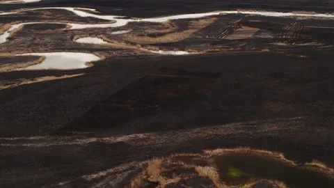 Aerial drone view of burned ground after big fire in Polish National Park Stock Footage 202049882