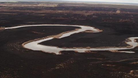 Aerial drone view of burned ground after big fire in Polish National Park Stock Footage 202049952