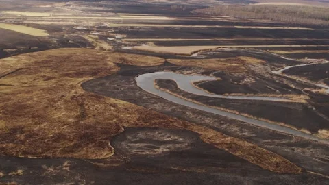 Aerial drone view of burned ground after big fire in Polish National Park Stock Footage 202050495
