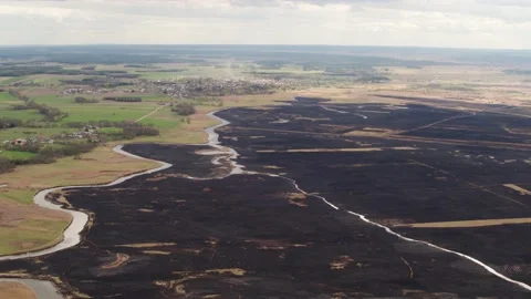 Aerial drone view of burned ground after big fire in Polish National Park Stock Footage 202050503