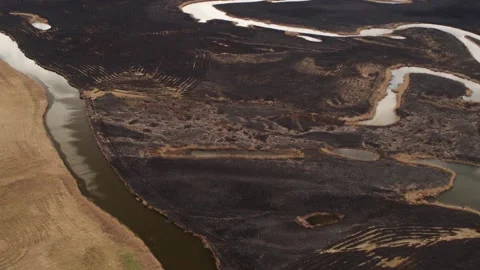 Aerial drone view of burned ground after big fire in Polish National Park Stock Footage 202050506