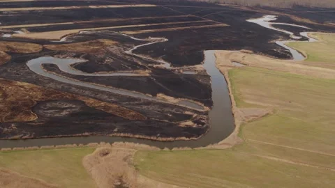 Aerial drone view of burned ground after big fire in Polish National Park Stock Footage 202050518