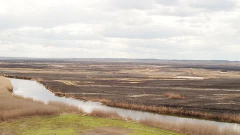 Aerial drone view of burned ground after big fire in Polish National Park Stock Footage 202050523