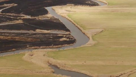 Aerial drone view of burned ground after big fire in Polish National Park Stock Footage 202050545